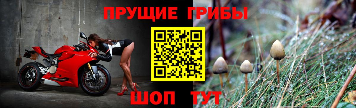 Галлюциногенные грибы Magic Shrooms  Вход с VPN  где найти наркотики  Менделеевск 